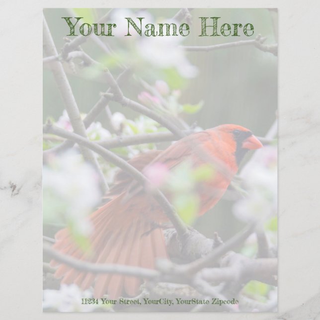 Male Cardinal in Springtime (Front)