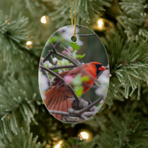 Male Cardinal in Springtime Ceramic Ornament