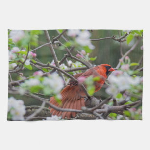 Male Cardinal in Springtime Kitchen Towel