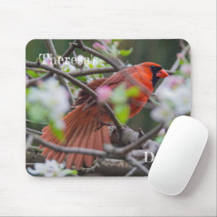 Male Cardinal in Springtime Mouse Pad