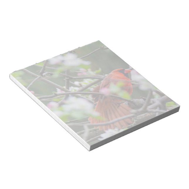 Male Cardinal in Springtime Notepad (Angled)