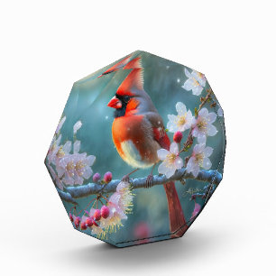 Male Cardinal in the Moonlight Cherry Blossoms Photo Block