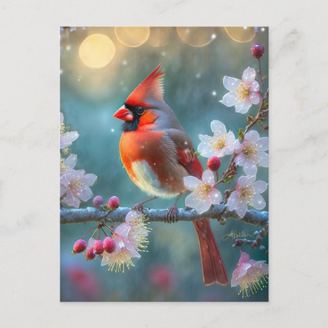 Male Cardinal in the Moonlight Cherry Blossoms Postcard (Front)