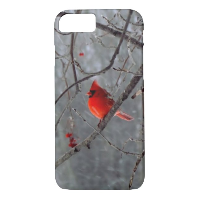 Male cardinal iPhone 7 case (Back)