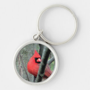 Male Cardinal Keychain