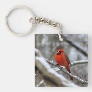Male Cardinal Keychain