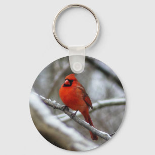 Male Cardinal Keychain