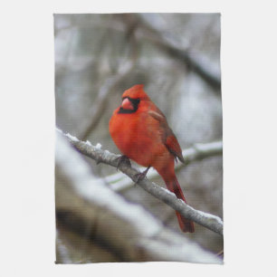 Male Cardinal Kitchen Towel