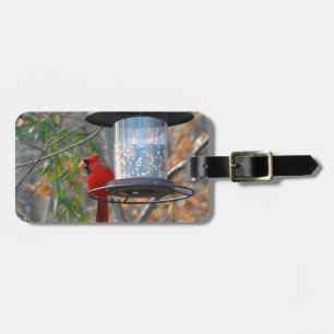 Male Cardinal Luggage Tag