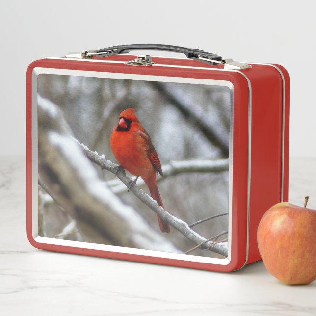 Male Cardinal Metal Lunch Box (In Situ)
