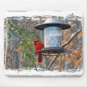 Male Cardinal Mouse Pad
