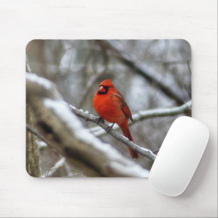 Male Cardinal Mouse Pad
