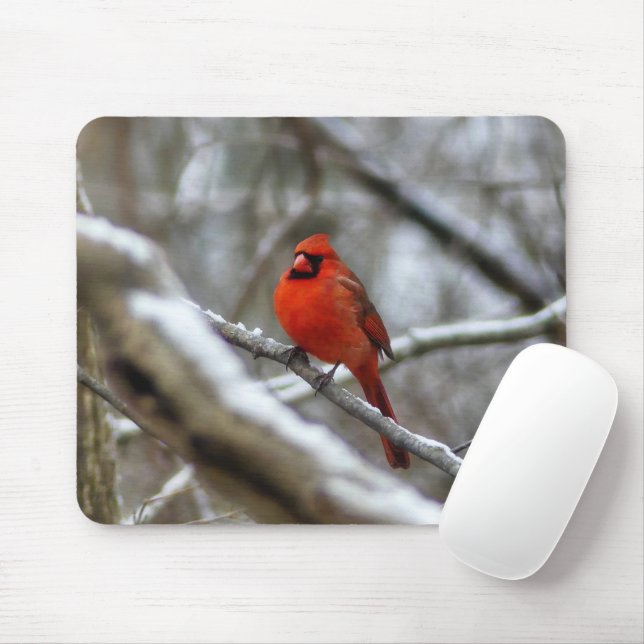 Male Cardinal Mouse Pad (With Mouse)