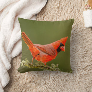 Male Cardinal on Limb Throw Pillow