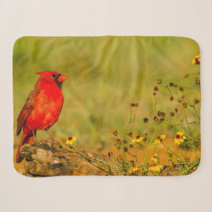Male Cardinal on Log Sherpa Blanket