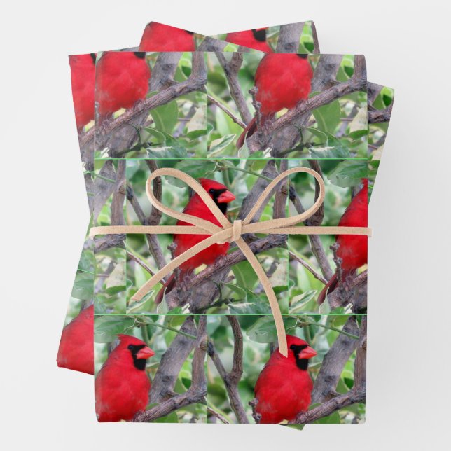 Male Cardinal - Small Pic -  Wrapping Paper Sheets (In situ)