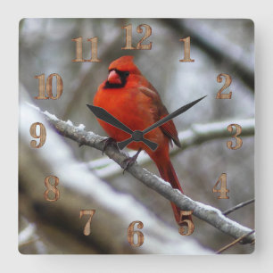 Male Cardinal Square Wall Clock