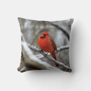 Male Cardinal Throw Pillow
