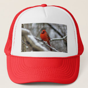 Male Cardinal Trucker Hat