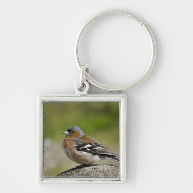 Male Chaffinch (WILD: Fringilla coelebs) Keychain (Front)