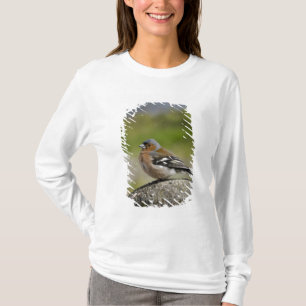 Male Chaffinch (WILD: Fringilla coelebs) T-Shirt