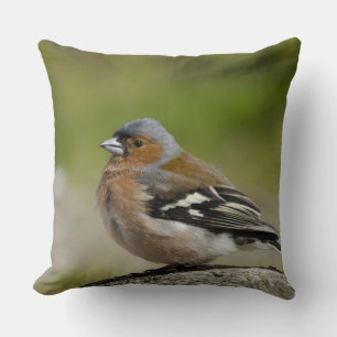 Male Chaffinch (WILD: Fringilla coelebs) Throw Pillow