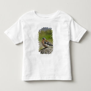 Male Chaffinch (WILD: Fringilla coelebs) Toddler T-shirt