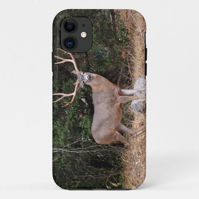 Male Deer in Yosemite iPhone 5 Case-Mate iPhone Case (Back)