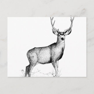 male deergif postcard