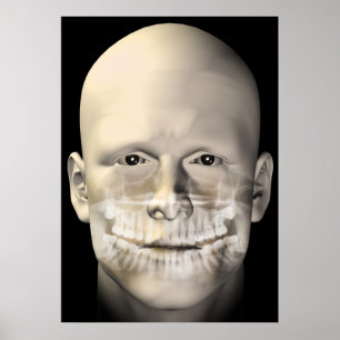 male dental scan poster
