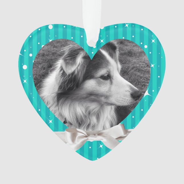 Male Dog or Cat First Christmas Photo Keepsake Ornament (Front)