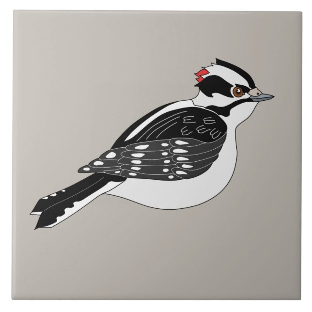 Male Downy Woodpecker Bird with Red Head Tile (Front)