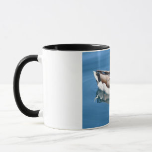 Male Duck Mug