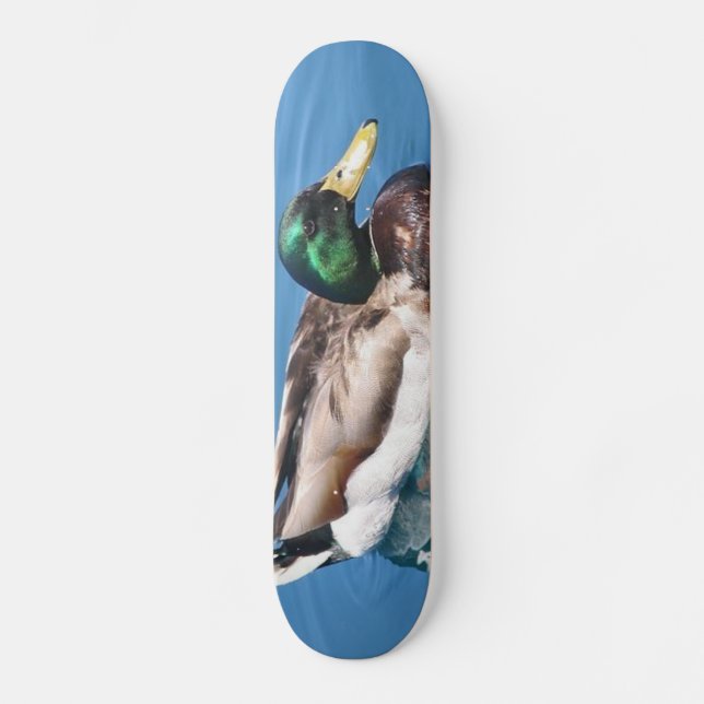 Male Duck Skateboard (Front)