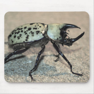Male Eastern Hercules Beetle Mousepad