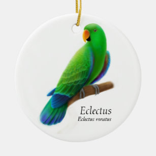 Male Eclectus Parrot Ornament