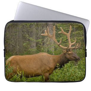 Male Elk Banff National Park, Alberta, Canada Laptop Sleeve