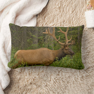 Male Elk   Banff National Park, Alberta, Canada Lumbar Pillow