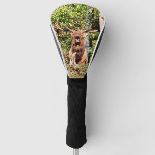 Male Elk in Rocky Mountain National Park Golf Head Cover