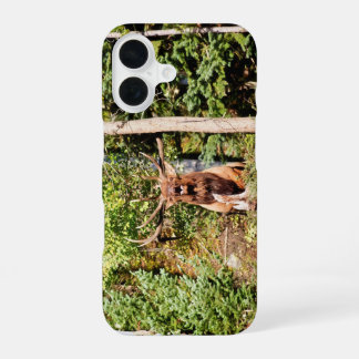 Male Elk in Rocky Mountain National Park iPhone 16 Case