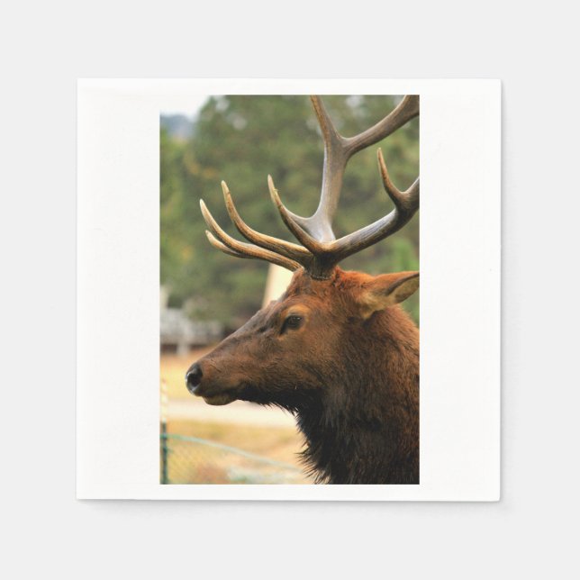 Male Elk Napkin (Front)