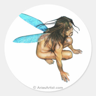 male faerie classic round sticker
