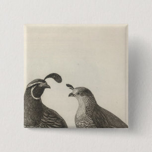Male & Female Partridge of California 2 Inch Square Button