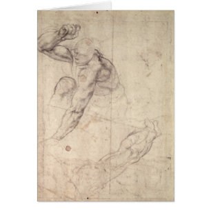 Male figure study