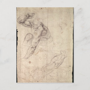 Male figure study postcard