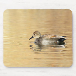 Male Gadwall Mouse Pad