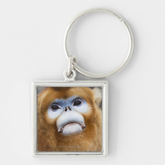 Male Golden Monkey Pygathrix roxellana Keychain (Front)