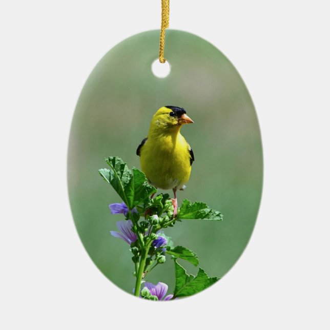 Male Goldfinch Ornament (Front)
