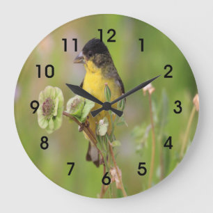 Male Goldfinch perched on flowers Large Clock