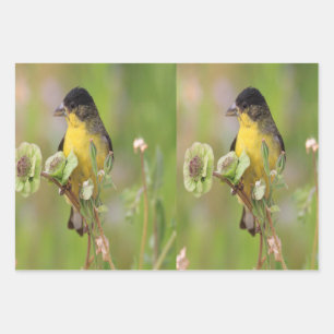 Male Goldfinch Wrapping Paper Sheet